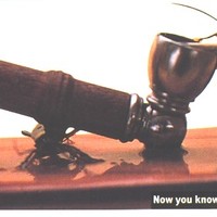 How a roach relaxes