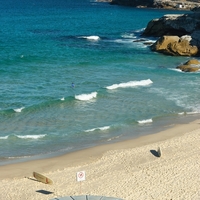 Tamarama