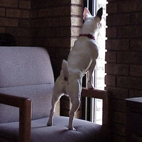 On guard