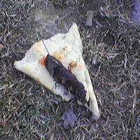 Delicious Meal