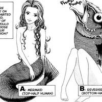 What would be your choice?