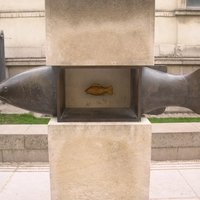 Fish in fish (Paris)