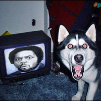 Woaaaaa?