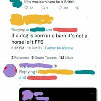 racist cunt