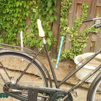 Horny Cyclist