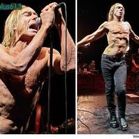Iggy Pop
