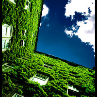 Green Life by gnato