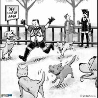 Quizi off the leash