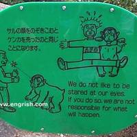 When monkeys attack