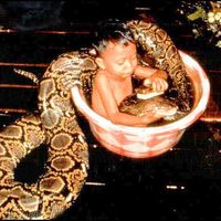 A little boy playing with his trouser snake.