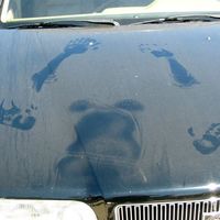 The bonnet angel