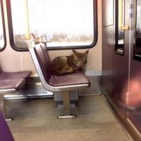 You never know who you'll see on the subway.