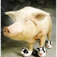 The cow wearing pig