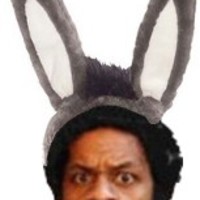rabbit ears