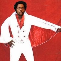 NGH Elvis