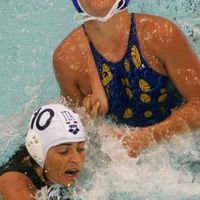 A high point in th Olympics