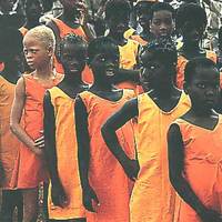 Without white genes there is not much improvement in beauty