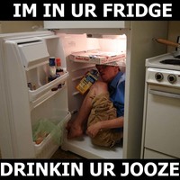 In da Fridge