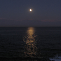 By the light of the moon