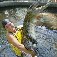 my pet croc