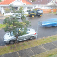 Wetday