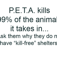 PETA, you suck