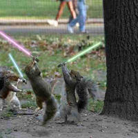 may the nuts be witcha!