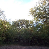 View From The Front Yard