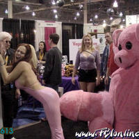 Big Pink Teddy