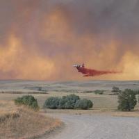 fire retardant