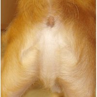 Jesus Image Sighted!