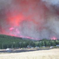 Forest fire