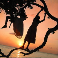 silhouettes