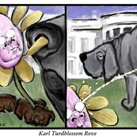 Karl Rove