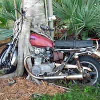 Harvey's bike>