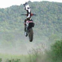 Stunt Cat!