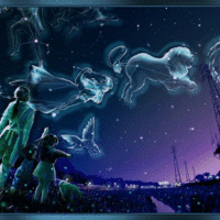 The stars