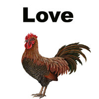 I love Cocks