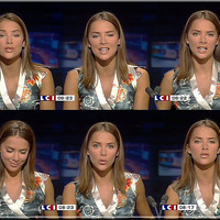 french news reporter.