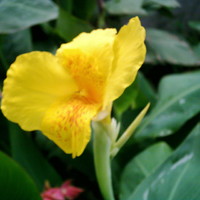 beauty of nature