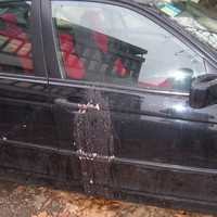 The day after.....
