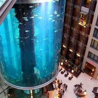now that's a fish tank!