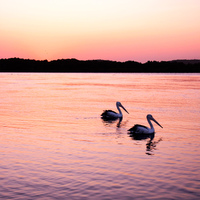 At peace