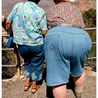 Chock's American Vacation