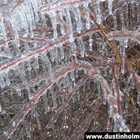 Ice Storm, Missouri 2007 