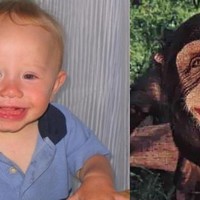 Monkeyboy!!