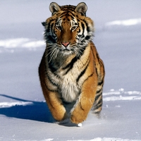 cold feet?