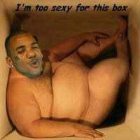 yo yo dadys got belly
