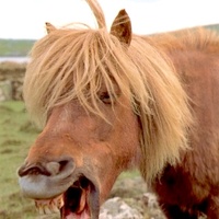 you got a purtty mouth
