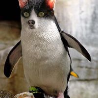 i dont know what the fuck this is